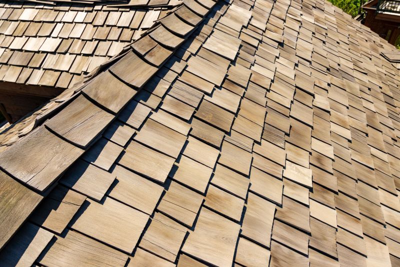 Cedar Shake Roof Care