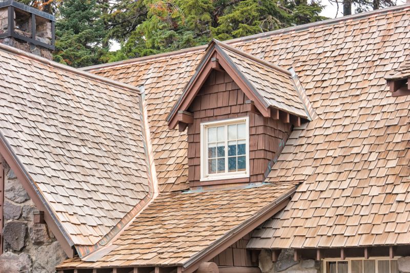 Cedar Shake Roof Care