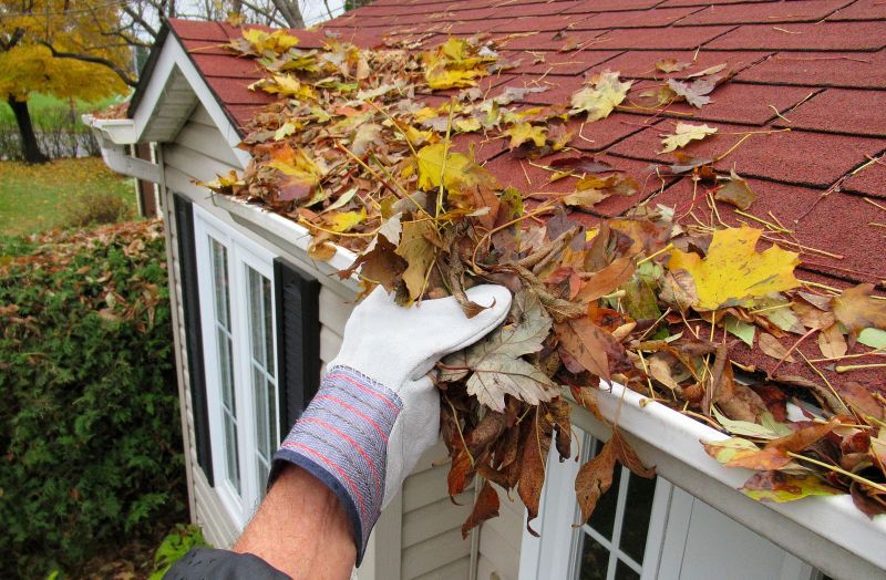 Fall and Winter Roof Care Timing