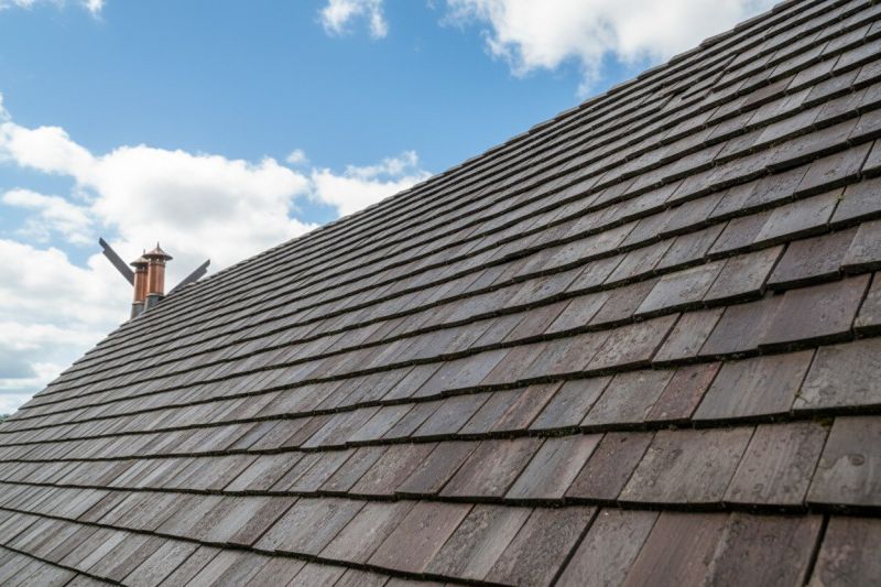 Cedar Shake Roof Care