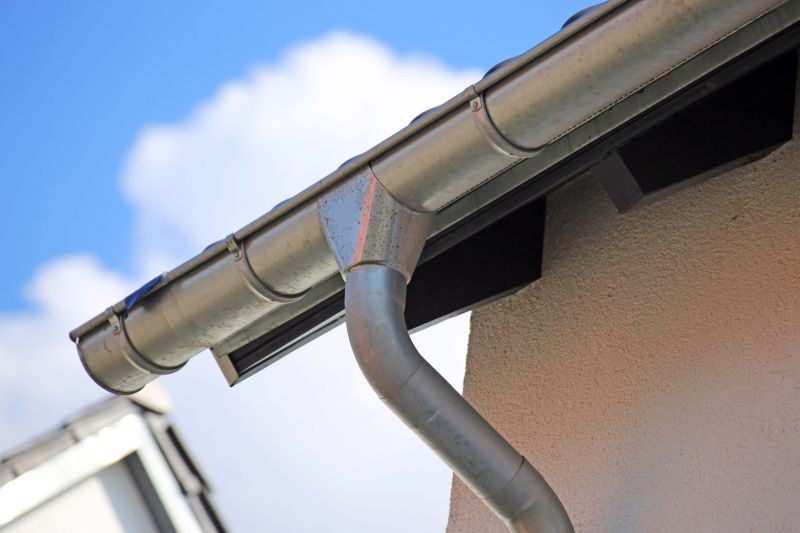 Gutter and Water Management